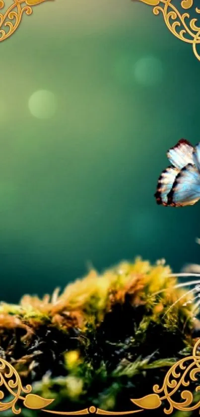 Green wallpaper with butterfly and gold ornate frame.