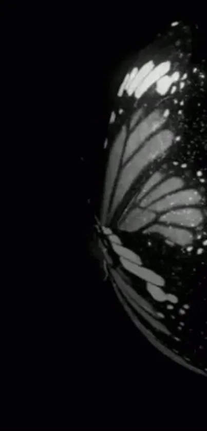 Monochrome butterfly design on a dark background for mobile wallpaper.