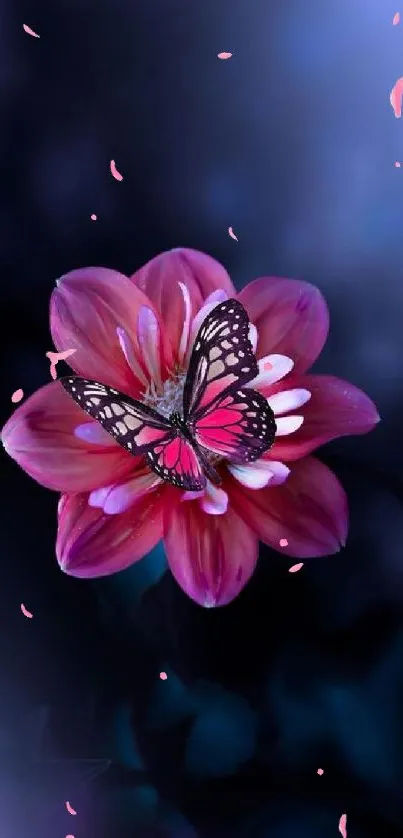 Beautiful butterfly resting on a pink flower against a dark background.