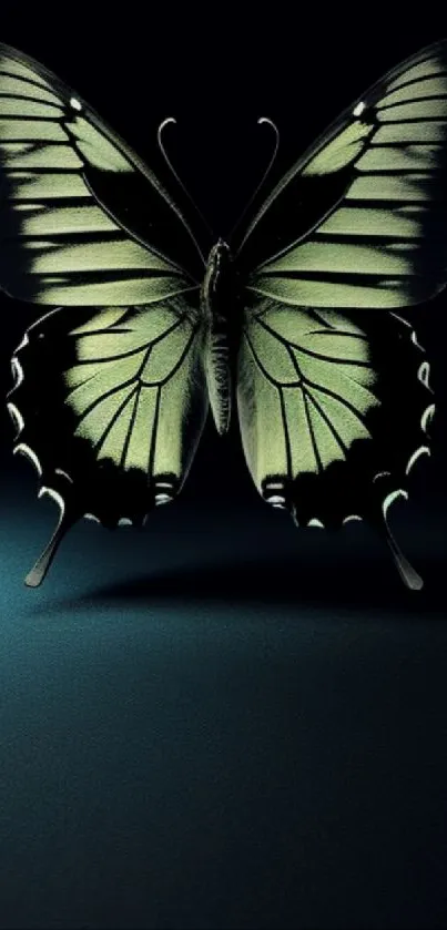 Detailed green butterfly on dark background wallpaper.