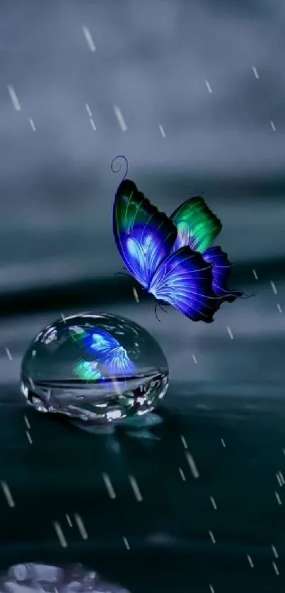 Beautiful butterfly poised on a dewdrop with a dark cyan background.