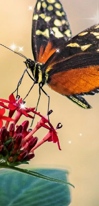 Close-up of a butterfly on a red flower with a beige background.