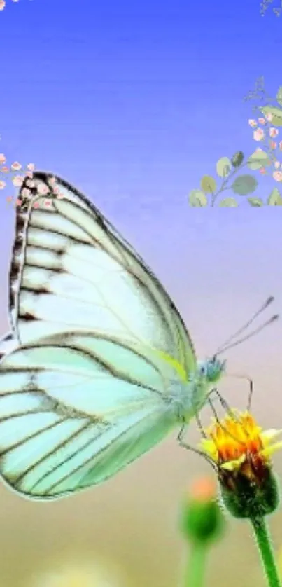 Serene butterfly on a vibrant flower with a blue background wallpaper.