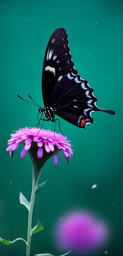 Elegant butterfly perched on vibrant flower.