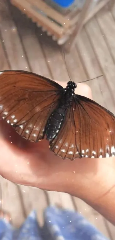 Brown butterfly resting gently on a hand.