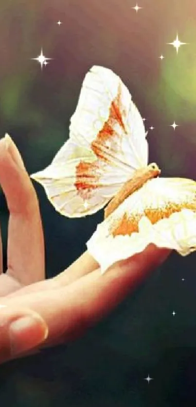 Butterfly rests gently on a person's hand with a soft, natural background.