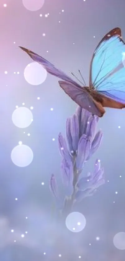 Serene mobile wallpaper with butterfly on lavender bloom in a purple haze.