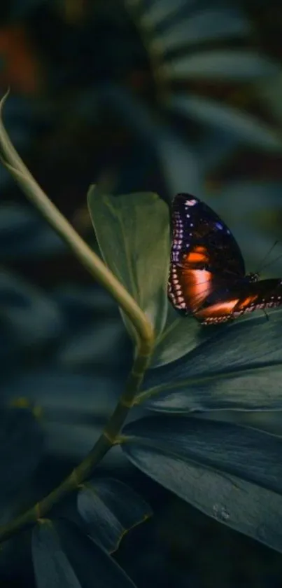 Elegant butterfly resting on green leafy background.