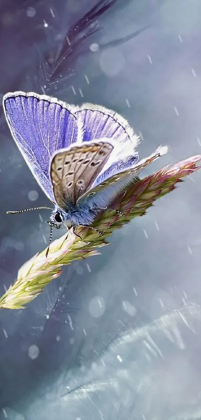 Elegant butterfly resting on a vibrant stem against a soft pastel background.