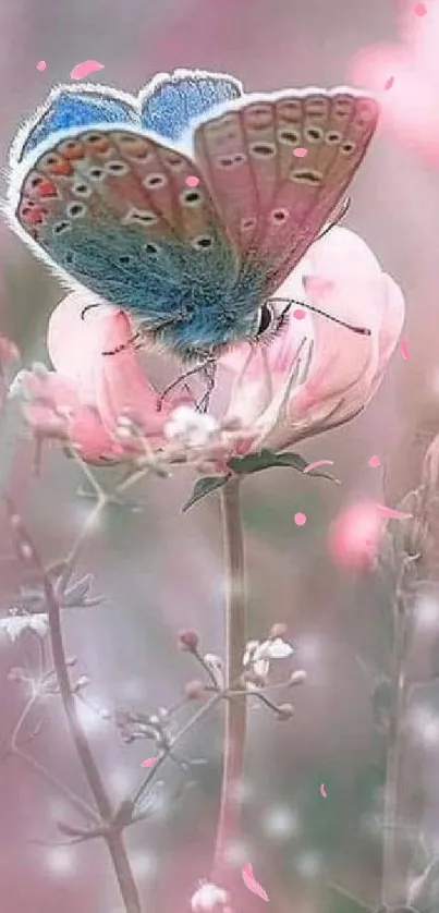 Elegant butterfly resting on a soft pink flower with pastel hues.