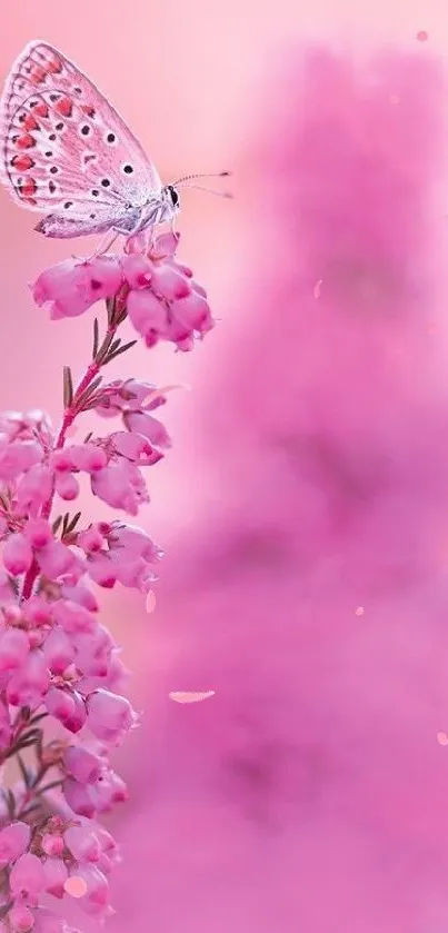 Butterfly resting on pink blossoms in a serene wallpaper.