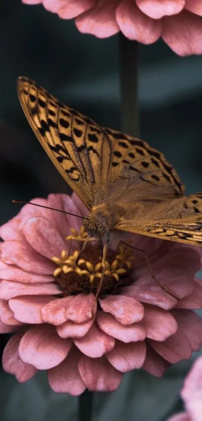 Close-up of a butterfly on a pink flower, perfect for a phone wallpaper.