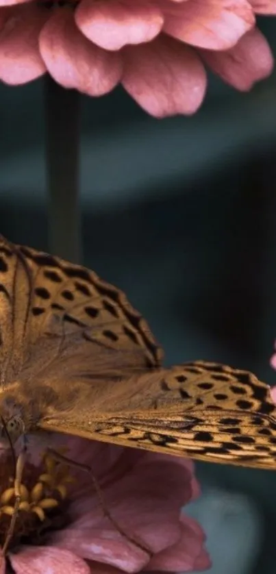 Close-up of a butterfly on pink flowers with soft lighting.