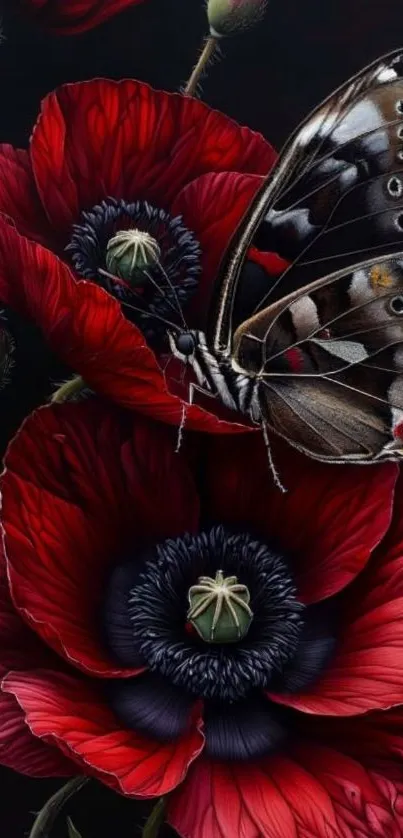 Butterfly resting on red poppies with a dark background.