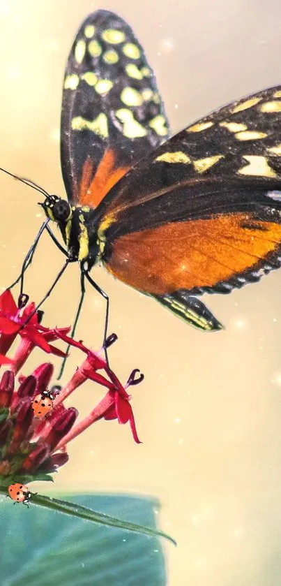 An elegant butterfly sits gracefully on a red flower with a blurred background.