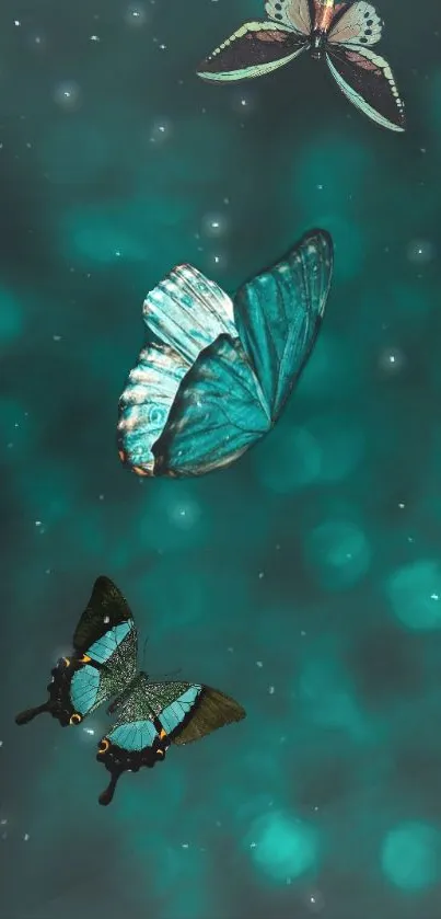 Teal butterfly wallpaper with bokeh effect.