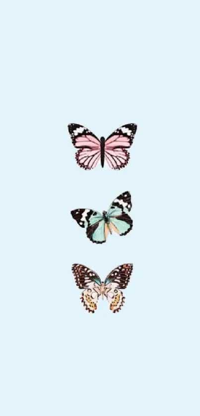 Light blue wallpaper with three butterflies in pastel hues.