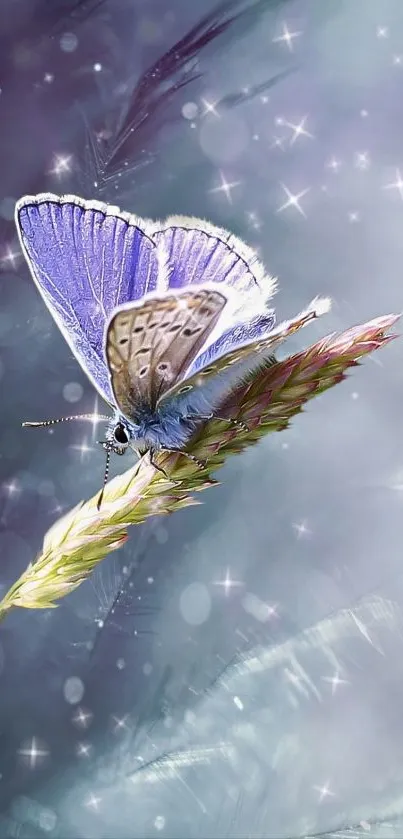 A purple butterfly perched on grass with a sparkling background.