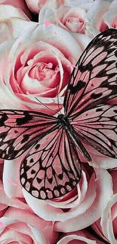 Pink butterfly on blooming roses mobile wallpaper.