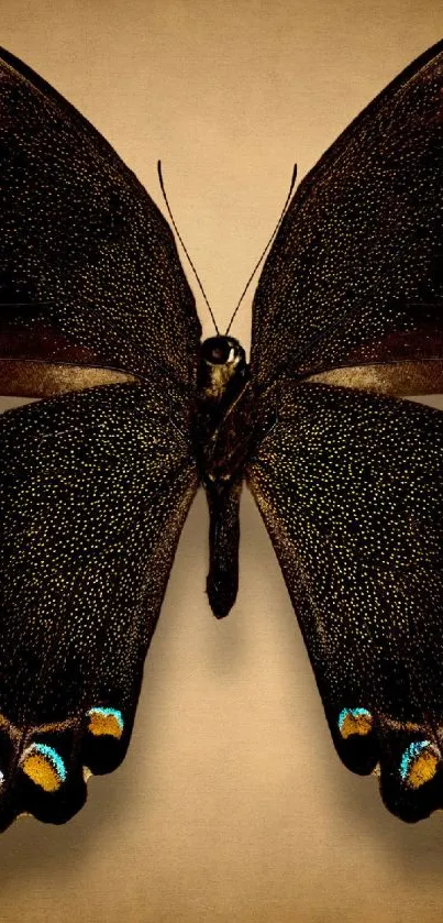 Elegant butterfly with earthy tones on mobile wallpaper.