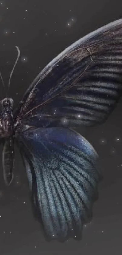 Sleek dark-themed butterfly wallpaper for mobile.