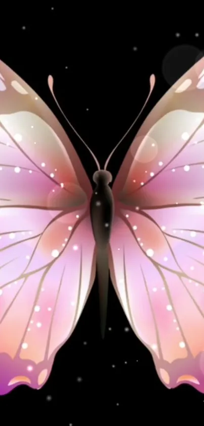 Elegant butterfly with pink and purple wings on a black background.