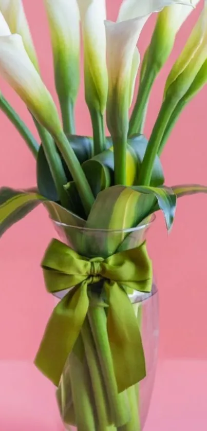 Elegant bouquet of calla lilies with pink background.