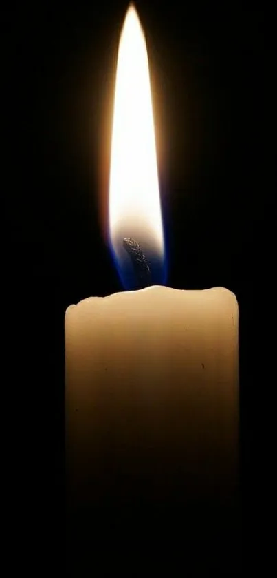 A glowing candle against a dark background, creating a serene atmosphere.