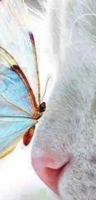 White cat with a butterfly on its nose.