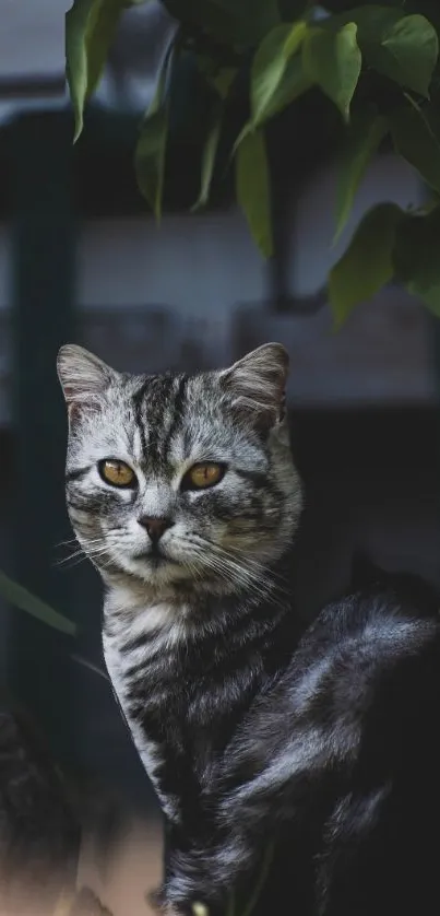 Elegant cat in dark environment with lush green leaves.