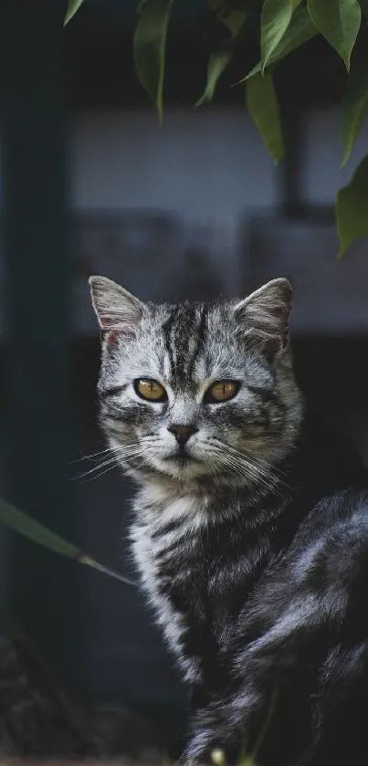 Gray cat sitting gracefully in a lush garden setting.