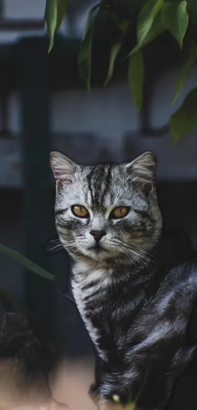 An elegant cat with vivid eyes amidst green leaves.