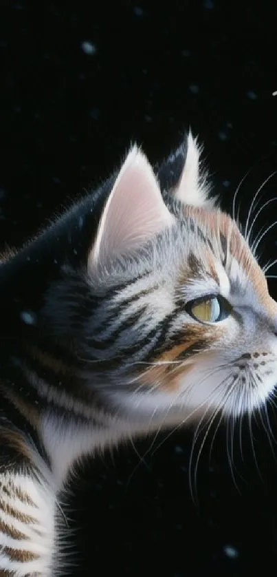 Elegant cat in the night with starlit sky backdrop.