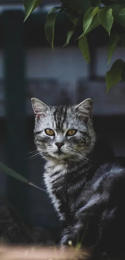 Elegant grey striped cat sitting in a lush garden.