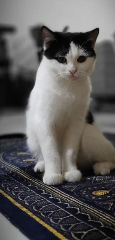 White cat with black spots sitting on an ornate blue rug.