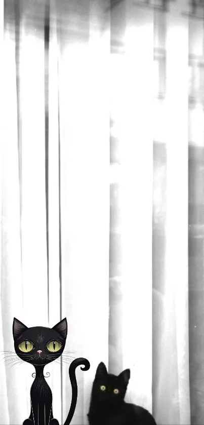 Mobile wallpaper featuring a black cat on a windowsill with white curtains.