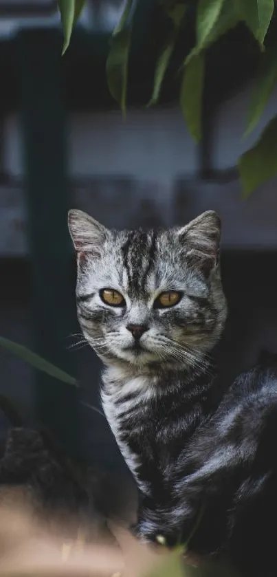 Elegant striped cat with golden eyes among green leaves.