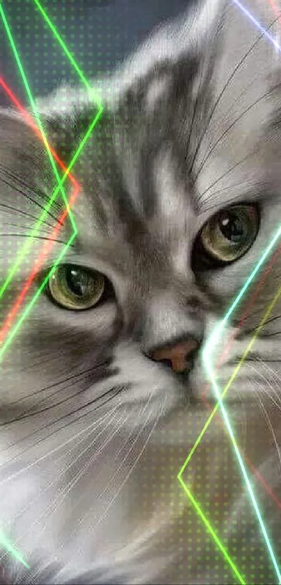 Gray cat with neon lines wallpaper.