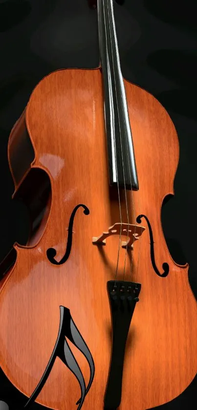 Elegant cello with amber tones against a dark background.