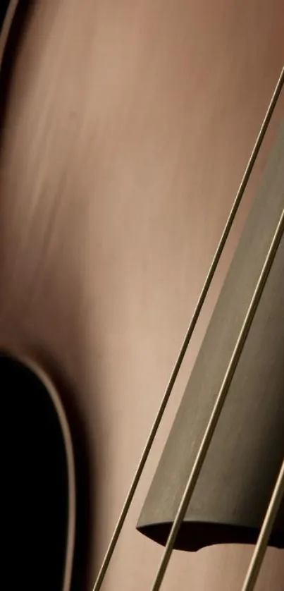 Close-up of cello strings and body in rich mahogany tones, elegant composition.