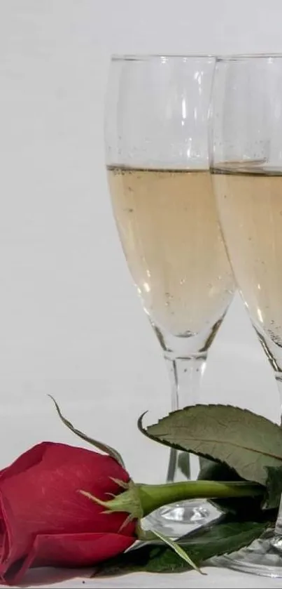 Two champagne glasses with a red rose on a white background.