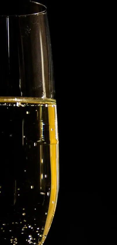 Elegant champagne glasses on black background.