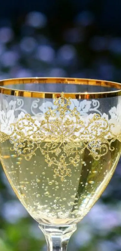 Elegant golden champagne glasses wallpaper for mobile.