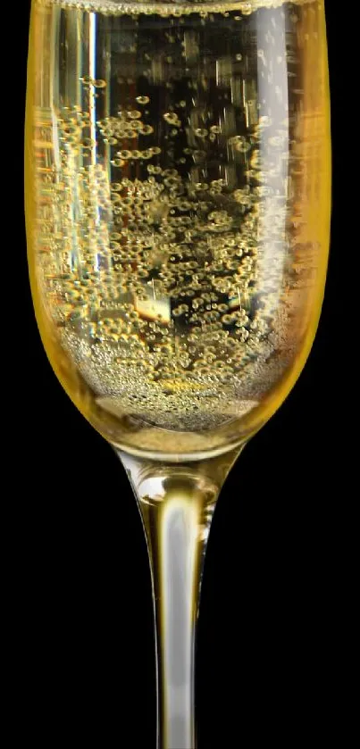 Champagne glass with bubbles against a transparent background.