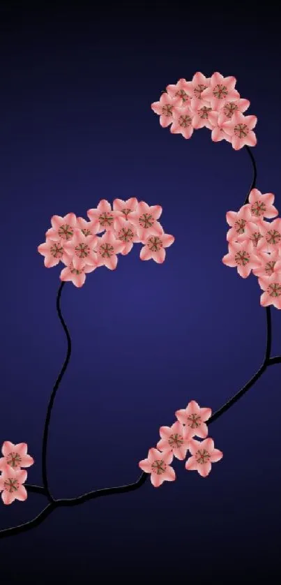 Delicate cherry blossoms on a navy blue background.