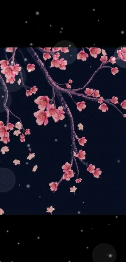 Elegant dark navy cherry blossom wallpaper.