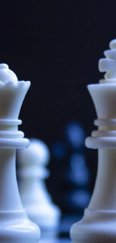 Elegant white chess pieces on a board with dark blue background.