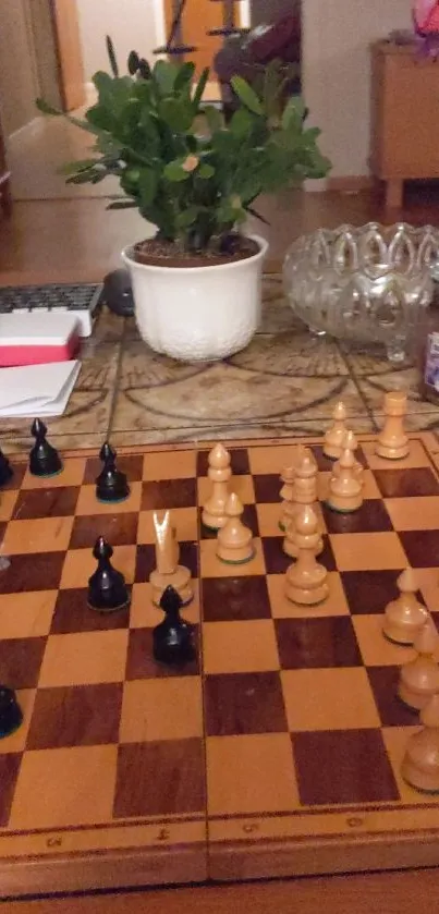 Chessboard and plant on stylish table.