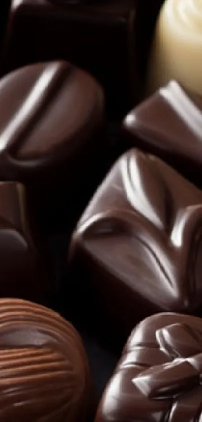 Luxurious assortment of dark and white chocolate bonbons with intricate designs.