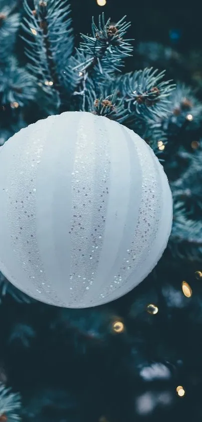 Elegant white bauble on pine tree with festive lights.